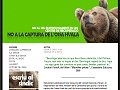 L'ours des Pyrénées en Andorre - L'os bru a Andorra - El osso en Andorra - The bear in Andorra